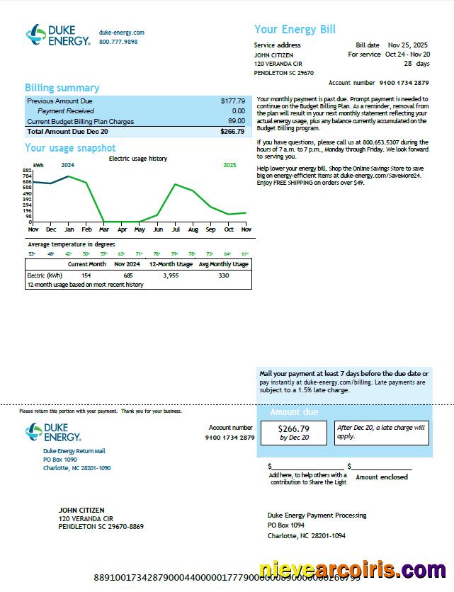 USA Duke Energy utility bill, version 6